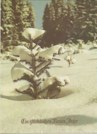 Glückliches Neues Jahr - Schneebild Glückliches Neues Jahr - Schneebild