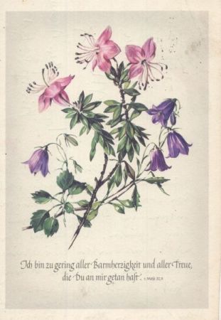 Sinnspruch und Blume Sinnspruch und Blume
