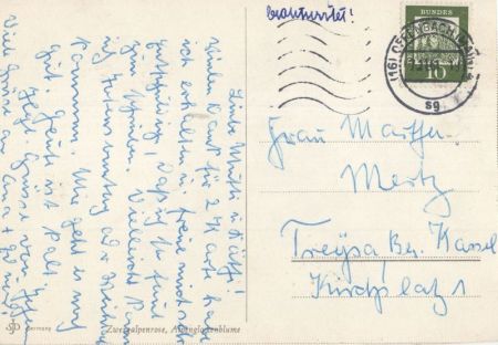 Sinnspruch und Blume Sinnspruch und Blume