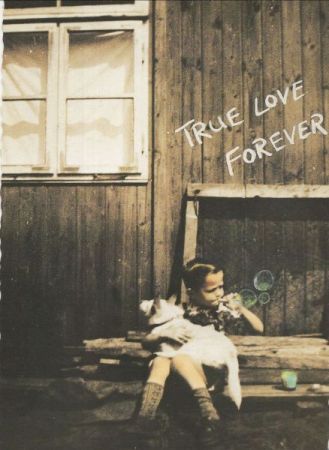 True Love Forever True Love Forever
