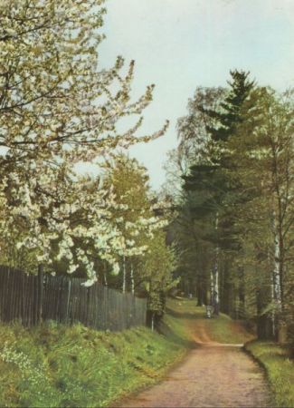 Herzliche Pfingstgrüße - Waldweg Herzliche Pfingstgrüße - Waldweg