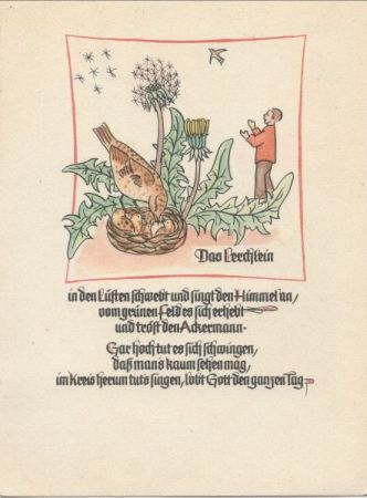 Lerchlein - mit Nest Lerchlein - mit Nest