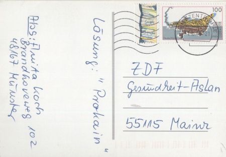 Kinder auf Fahrzeug Kinder auf Fahrzeug