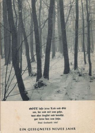 Gesegnetes Neues Jahr Winterwald Gesegnetes Neues Jahr Winterwald
