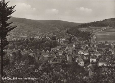 Bad Orb - vom Molkenberg Bad Orb - vom Molkenberg