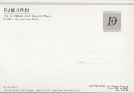 La Palma - Spanien - Bananenstaude La Palma - Spanien - Bananenstaude