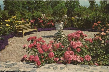 Vancouver - Kanada - Floral Terrace Vancouver - Kanada - Floral Terrace