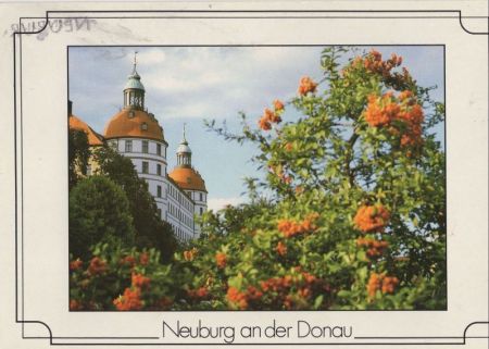 Neuburg, Donau - Blüten Neuburg, Donau - Blüten