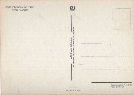 Gran Canaria - Spanien - Platanos en flor
