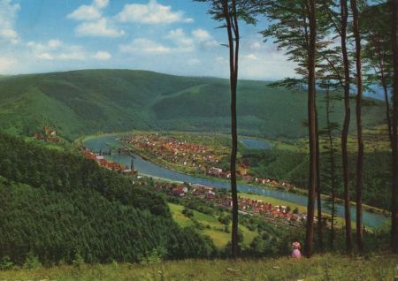 Hirschhorn - aus der Ferne Hirschhorn - aus der Ferne
