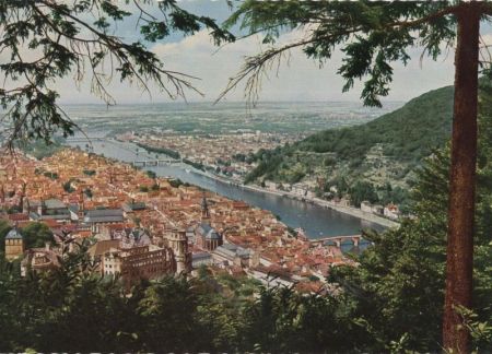 Heidelberg - Blick vom Rindenhäuschen Heidelberg - Blick vom Rindenhäuschen
