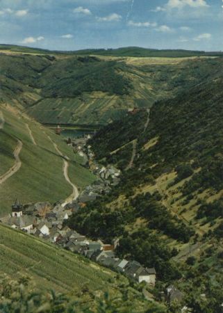Bacharach - Steeger Tal Bacharach - Steeger Tal