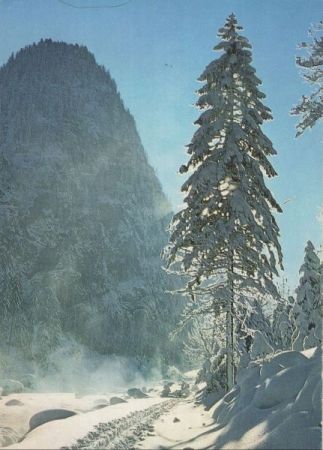 Oppenau-Lierbach - im Wimbachtal Oppenau-Lierbach - im Wimbachtal