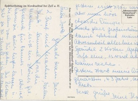 Zell - Nordrachtal