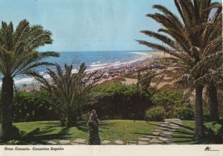 Playa del Inglés - Spanien - Ansicht durch Palmen Playa del Inglés - Spanien - Ansicht durch Palmen