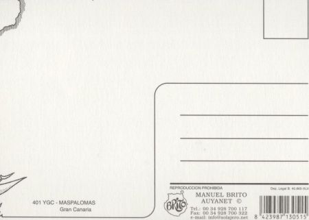 Maspalomas - Spanien - aus der Luft Maspalomas - Spanien - aus der Luft