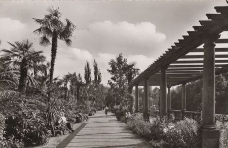 Siegsdorf-Bad Adelholzen - Palmengarten Siegsdorf-Bad Adelholzen - Palmengarten