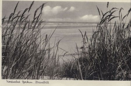 Borkum - Meerblick Borkum - Meerblick