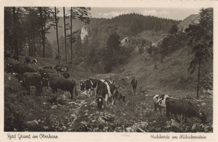 Bad Grund - Hübichenstein Bad Grund - Hübichenstein