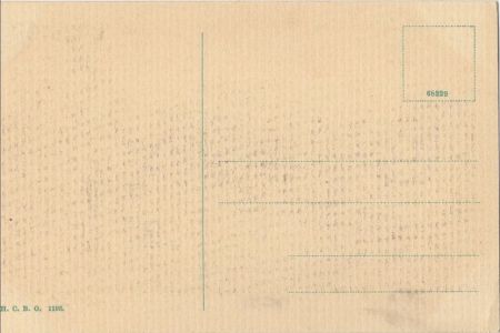 Bispingen-Wilsede - Heideweg