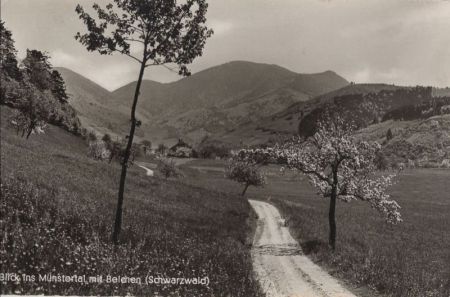 Belchen - Blick ins Münstertal Belchen - Blick ins Münstertal