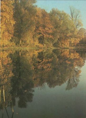 Herbstbaum - Wasserspiegelung Herbstbaum - Wasserspiegelung