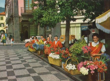 Funchal - Portugal - Floristas Funchal - Portugal - Floristas