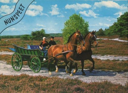 Nunspeet - Niederlande - Kutschfahrt Nunspeet - Niederlande - Kutschfahrt