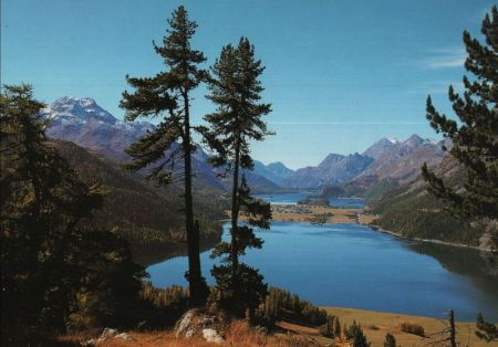 Silvaplana - Schweiz - Silsersee Silvaplana - Schweiz - Silsersee