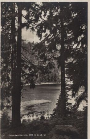 Forbach - Herrenwieser See Forbach - Herrenwieser See