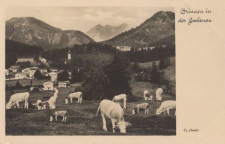 Jachenau - Weide Jachenau - Weide