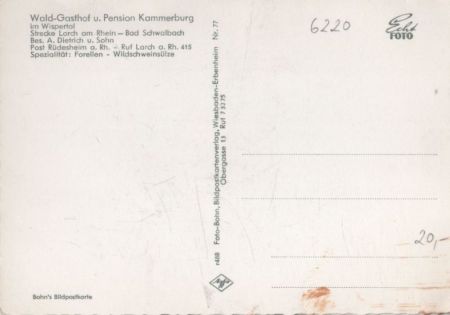 Lorch - Gasthaus Pension Kammerburg Lorch - Gasthaus Pension Kammerburg