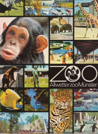 Münster - Zoo, viele Bilder Münster - Zoo, viele Bilder