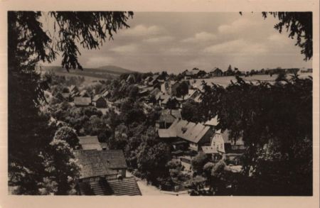 Tanne - Ansicht Tanne - Ansicht
