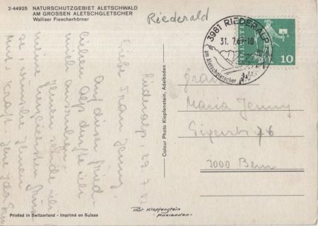 Aletschgletscher - Schweiz - Aletschwald