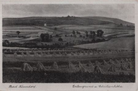 Bad Nenndorf - Erlengrund Bad Nenndorf - Erlengrund