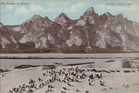 Kanada - Kanada - The Tetons in Winter Kanada - Kanada - The Tetons in Winter
