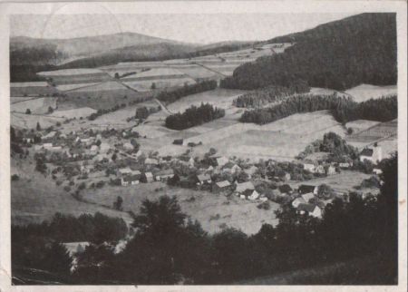 Rabenseifen - von oben Rabenseifen - von oben