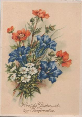 Zur Konformation Blumen Zur Konformation Blumen