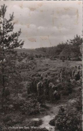 Haltern - Westruper Heide Haltern - Westruper Heide