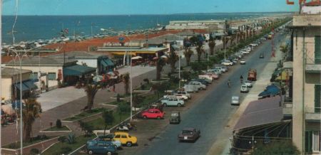 Camaiore - Italien - Allee Camaiore - Italien - Allee