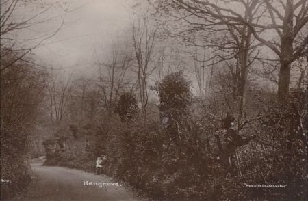 England (allgemein) - Großbritannien - Hanggrove England (allgemein) - Großbritannien - Hanggrove