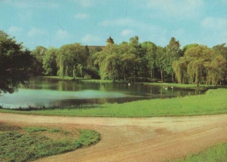 See im Wald - 1982 See im Wald - 1982