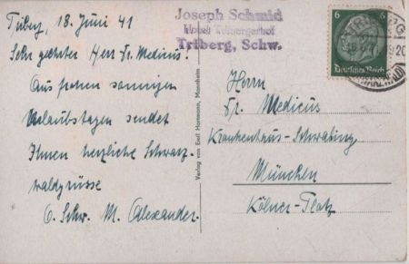 Triberg - Blick vom Hohnen