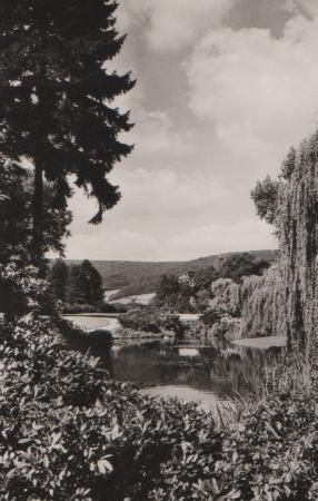 Bad Pyrmont - Kurpark - 1960 Bad Pyrmont - Kurpark - 1960
