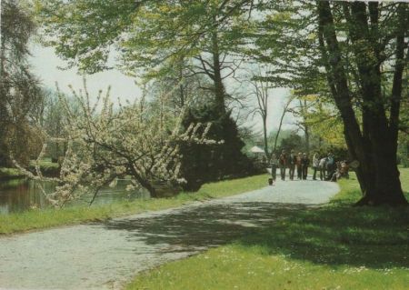 Frohe Pfingsten - 1989 Frohe Pfingsten - 1989