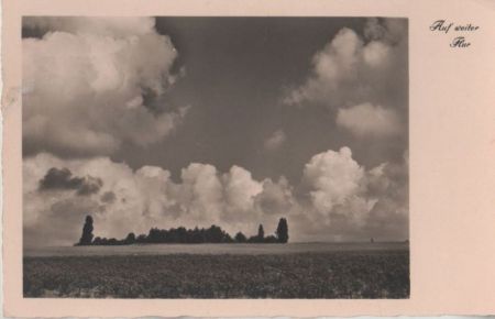 Auf weiter Flur - ca. 1950 Auf weiter Flur - ca. 1950