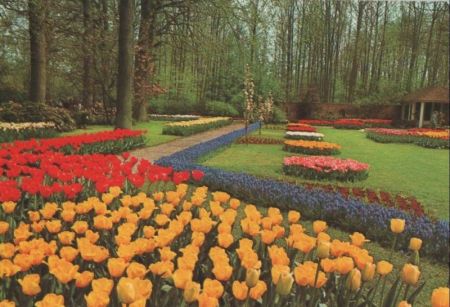 Niederlande - Lisse - Keukenhof - ca. 1985 Niederlande - Lisse - Keukenhof - ca. 1985