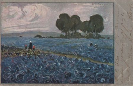 Blaues Feld Blaues Feld