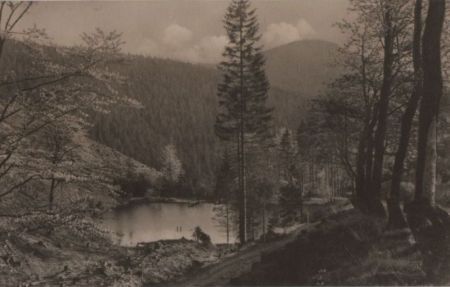 Oberhof - Pfanntalsteich - 1955 Oberhof - Pfanntalsteich - 1955